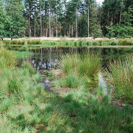 Chalet "De Vliegden" Stroe  Kültér fotó